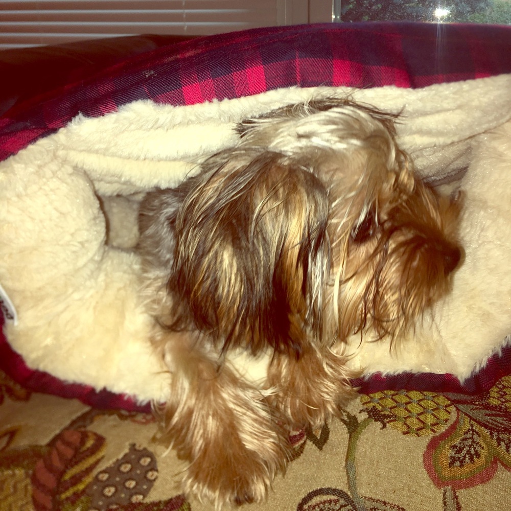 Dog bed
